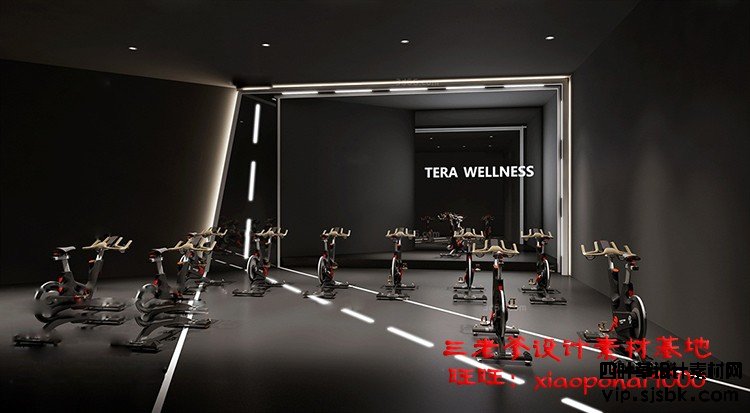 新瑜伽馆会所健身房3d模型体育器材3Dmax效果图设计素材-第23张图片