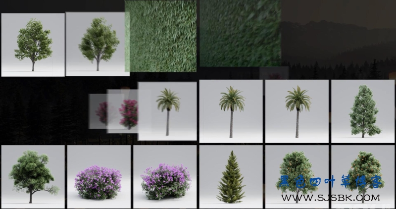 Forest Pack6.3.0汉化种植森林插件，3D2014-2021可用带安装使用教程-第2张图片